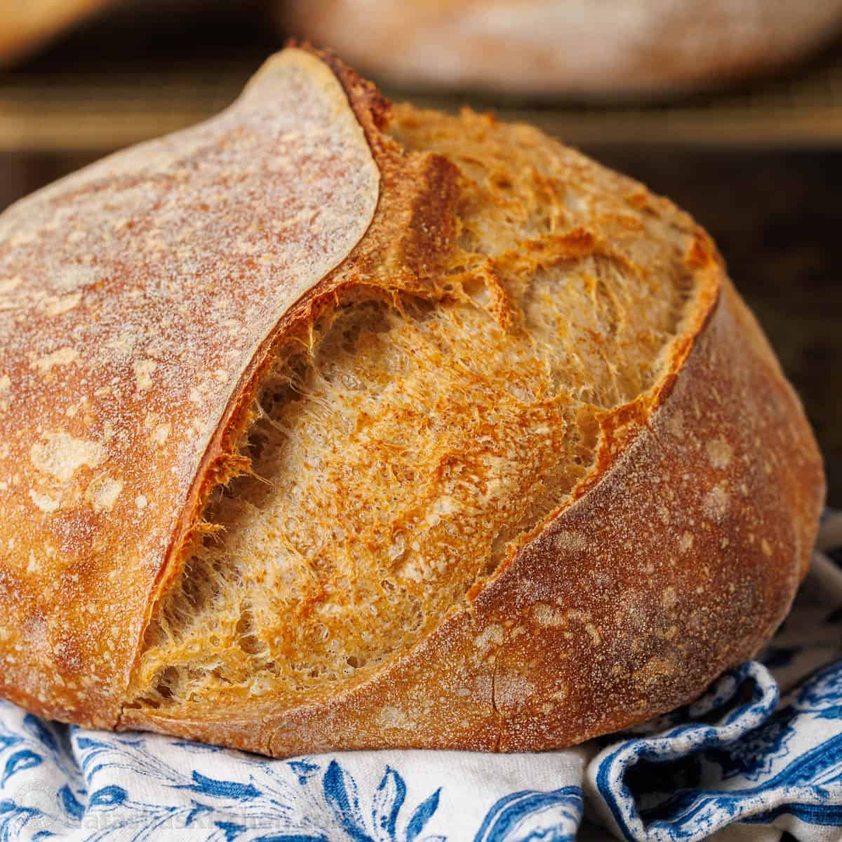 Sourdough Loaf
